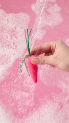 Baby Rainbow Carrots