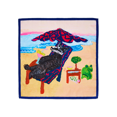 Beach Badger