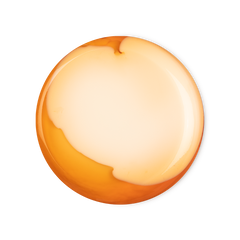 Bongo