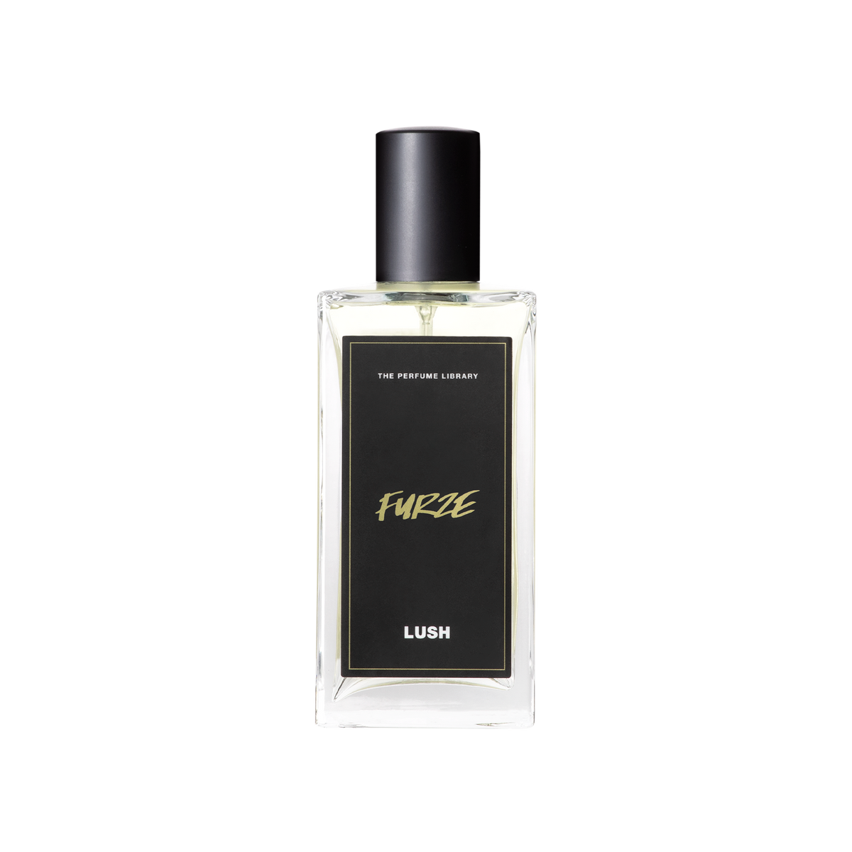 Furze