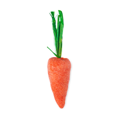 Baby Rainbow Carrots