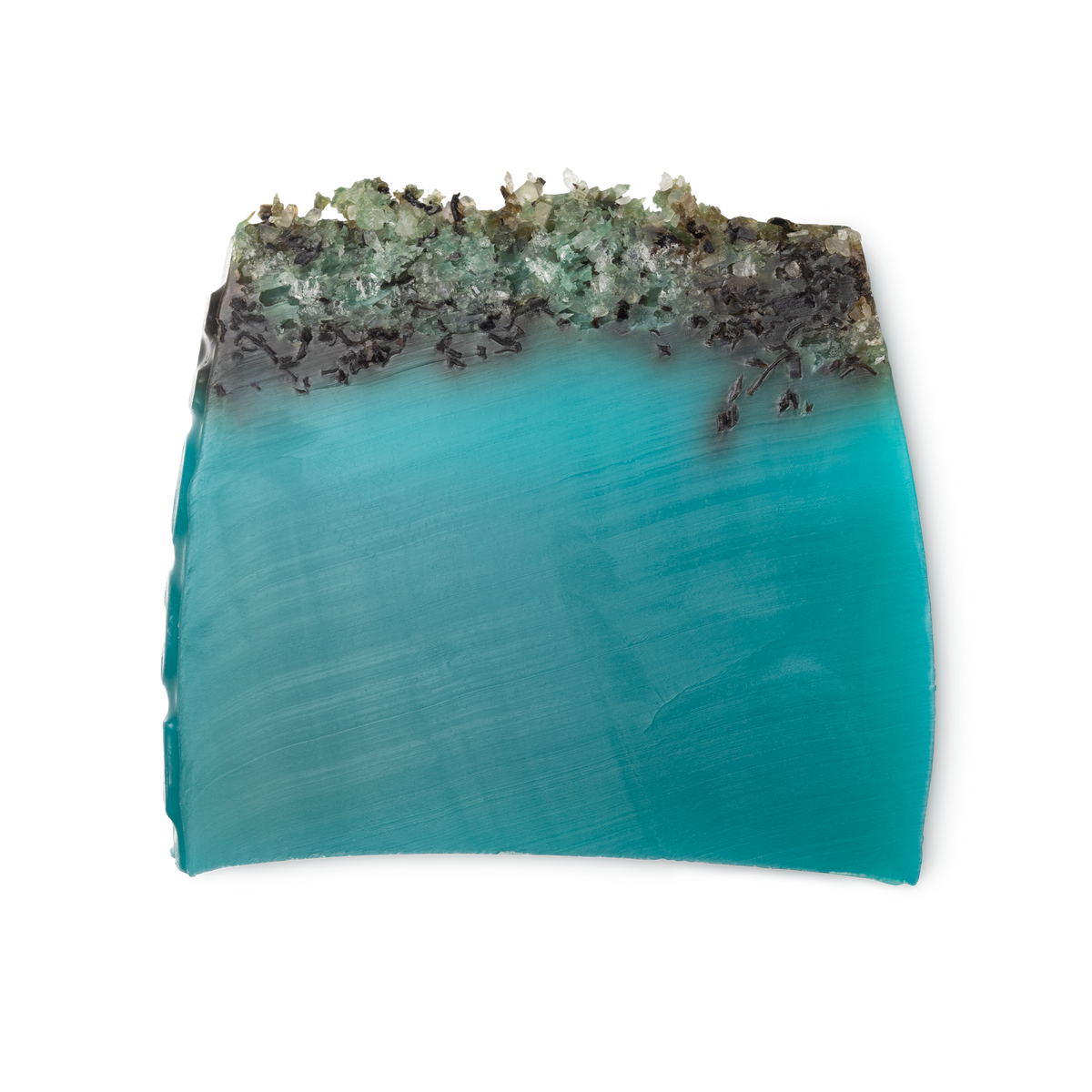 Sea Vegetable