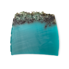 Sea Vegetable